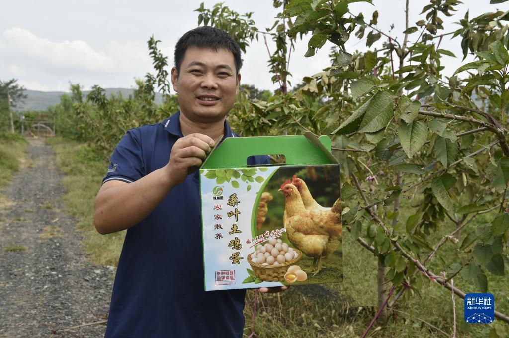 打牌网下载安卓